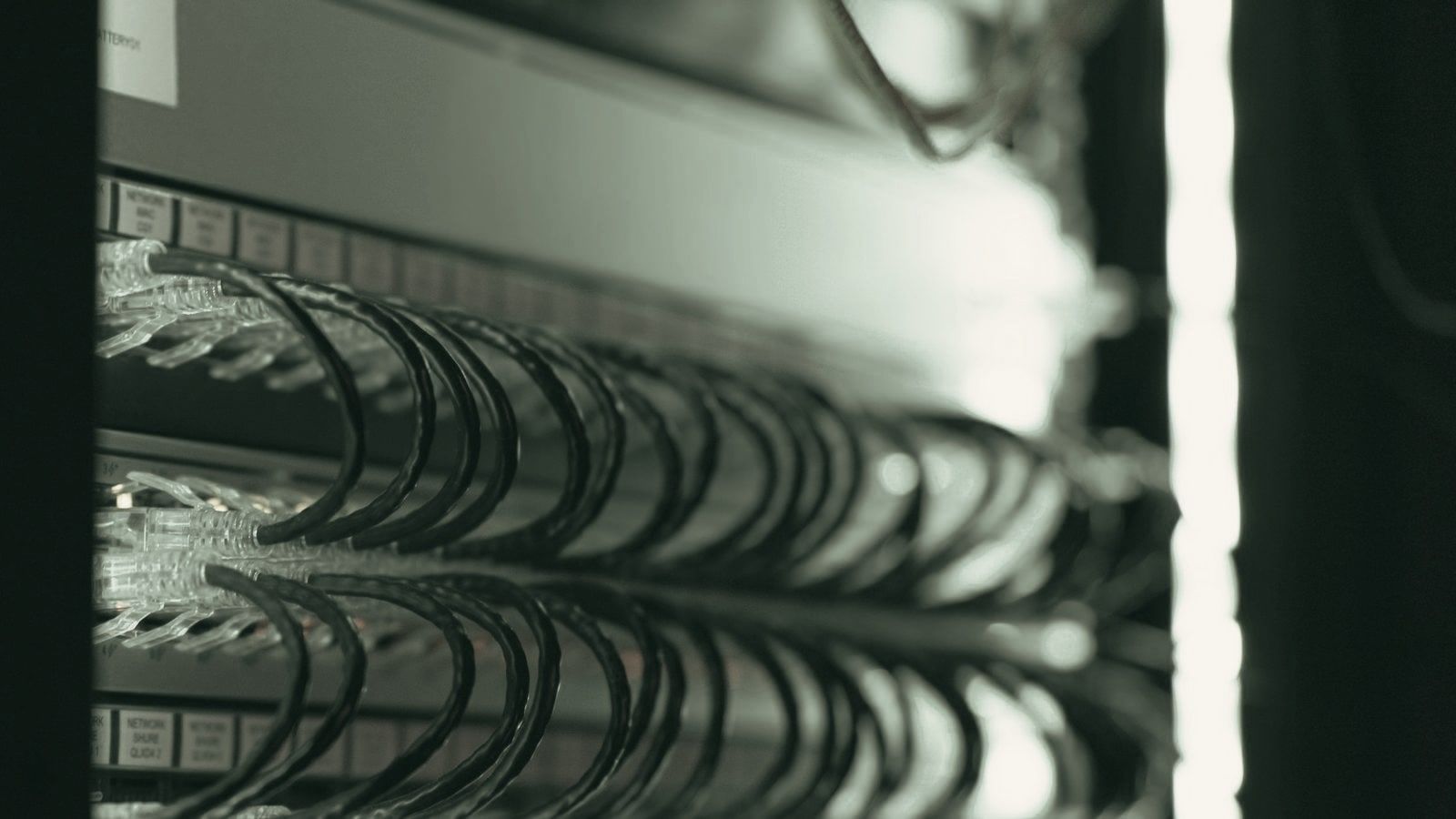 Inside of a lit server rack, with the equipment cabling neatly arranged in curves.