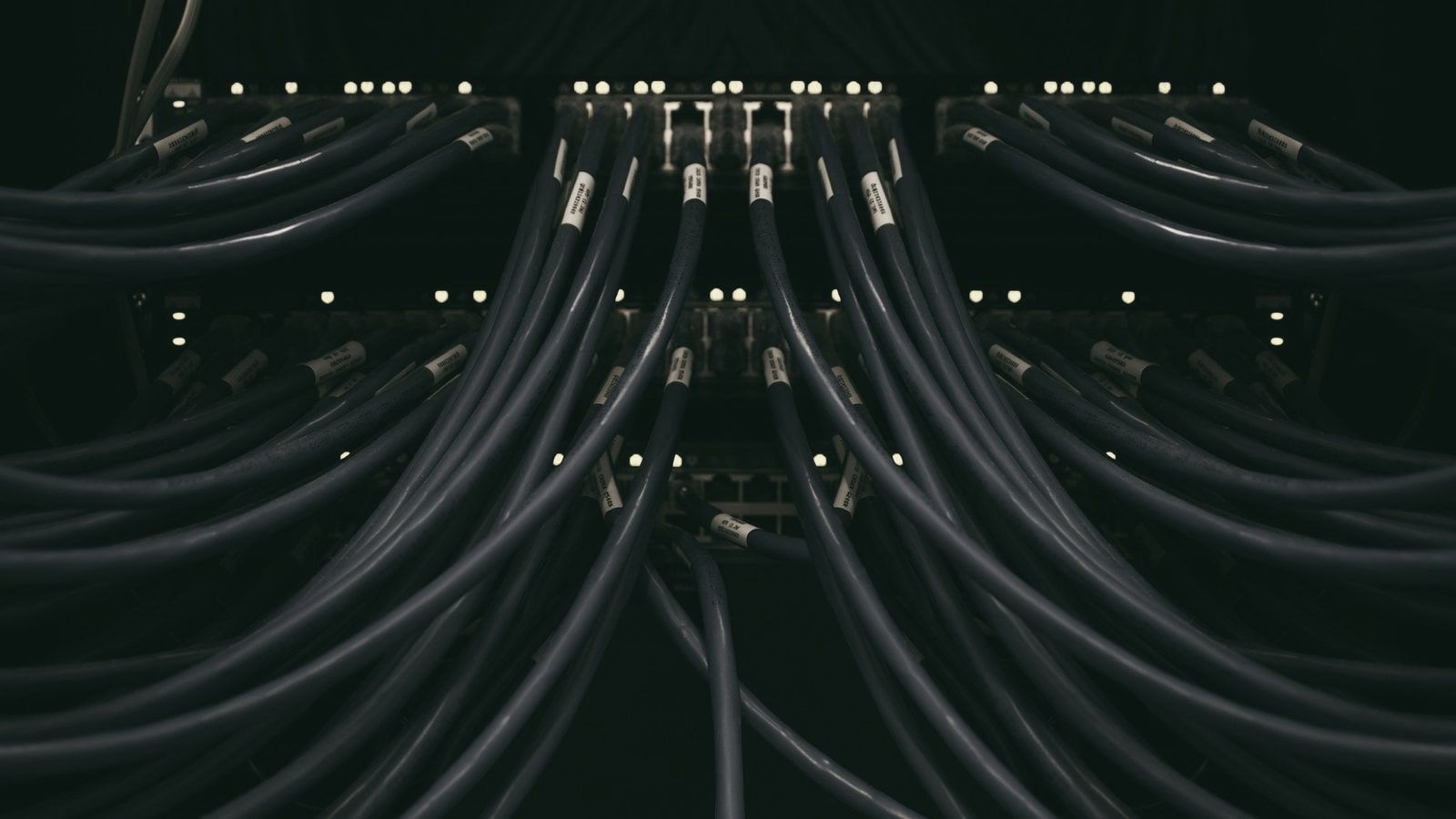 Decenas de cables de red que salen de un mismo panel y se abren hacia los lados, sobre fondo oscuro.